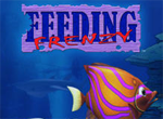 Feeding Frenzy Deluxe 6.7. - Big fish eat small fish Game for Windows