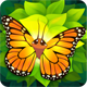 Flutter for Android 1.97 - Game farming butterflies for Android